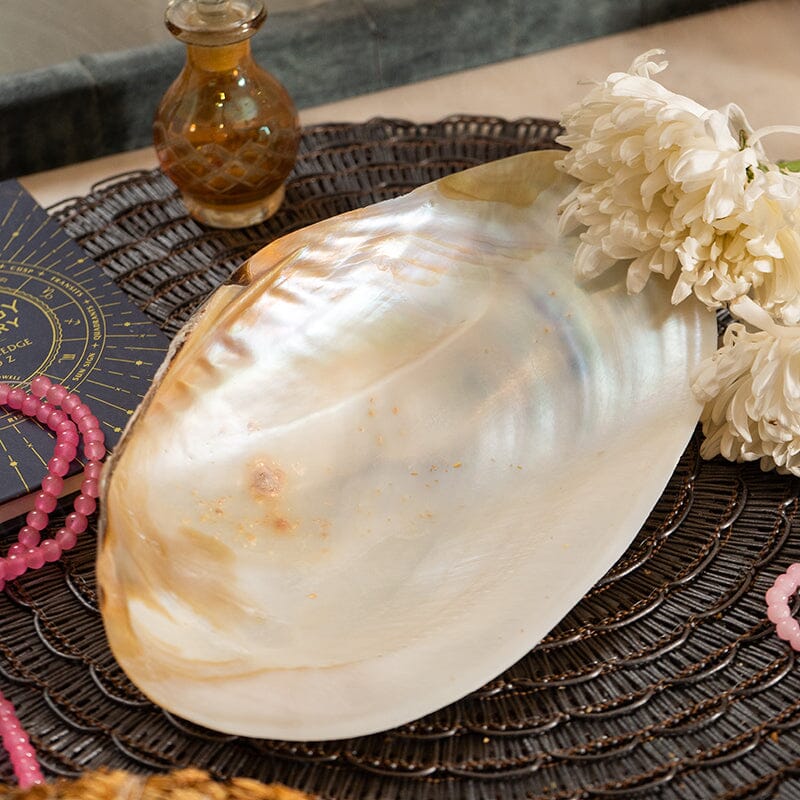 Pearl White Large Shell Sage Holder