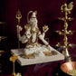 Gold Plated Supreme Lord Shiva Marble Idol