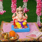 7INCH Eco-Friendly Shoorpakarna Ganesh | Plant-A-Ganesha